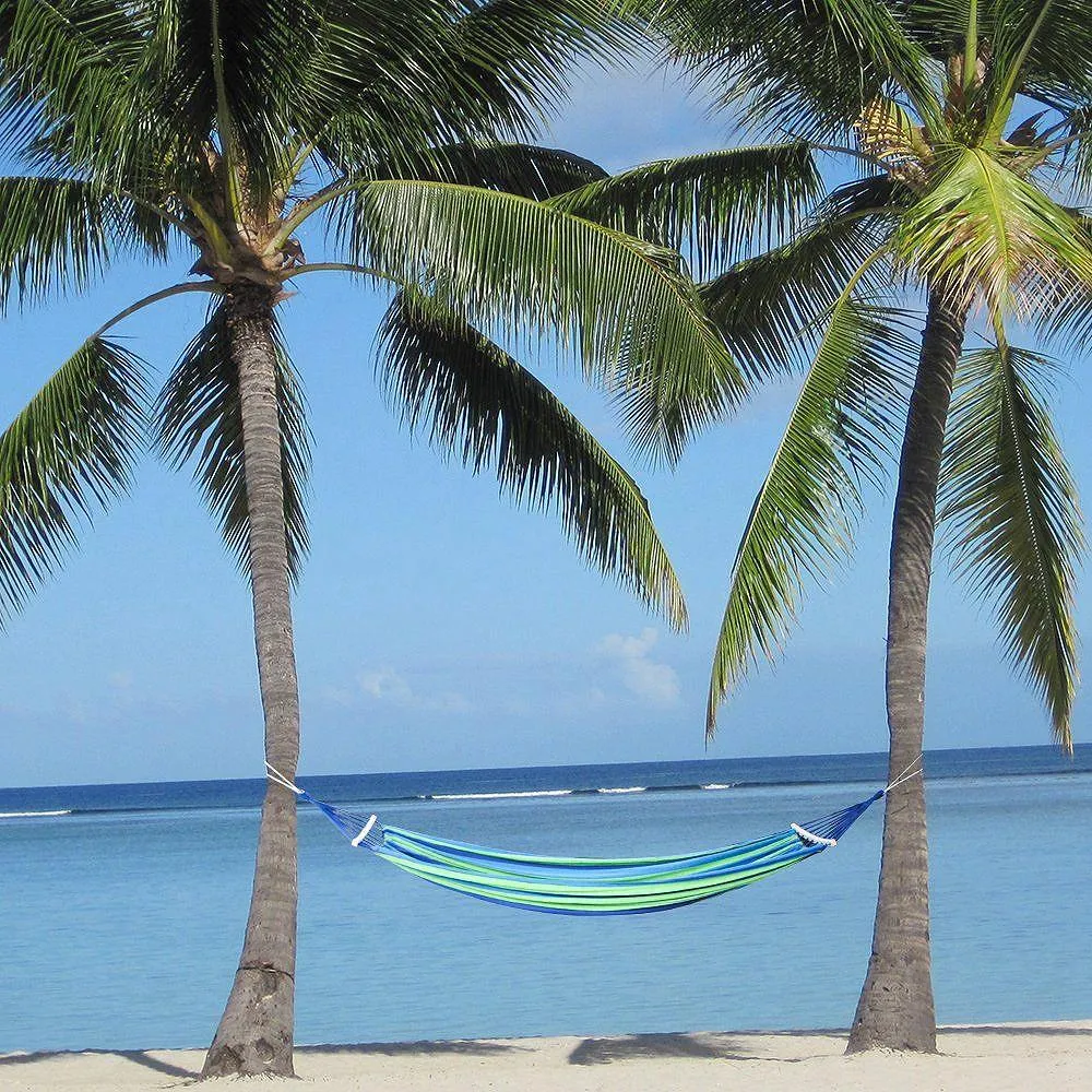 Double Hammock 450 Lbs Portable Travel Camping Hanging Hammock